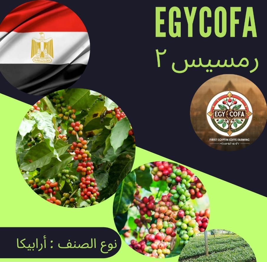 رمسيس 2